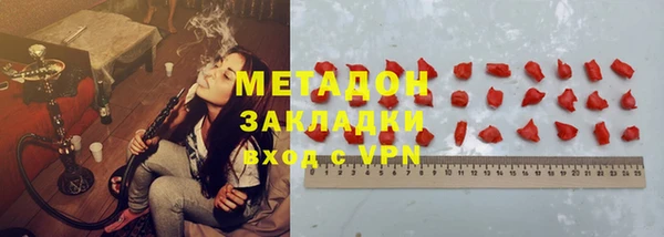 шишки Арсеньев