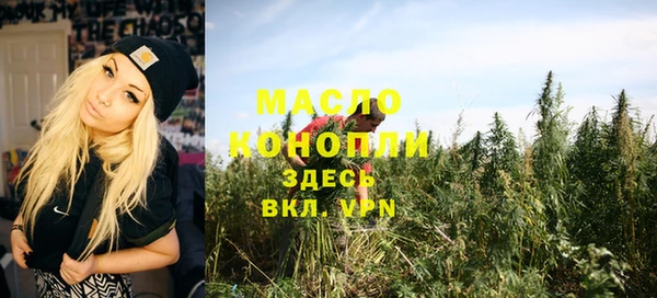 крисы Новозыбков