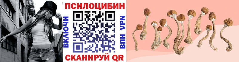 дарк нет клад  цены   Выборг  Галлюциногенные грибы мицелий 